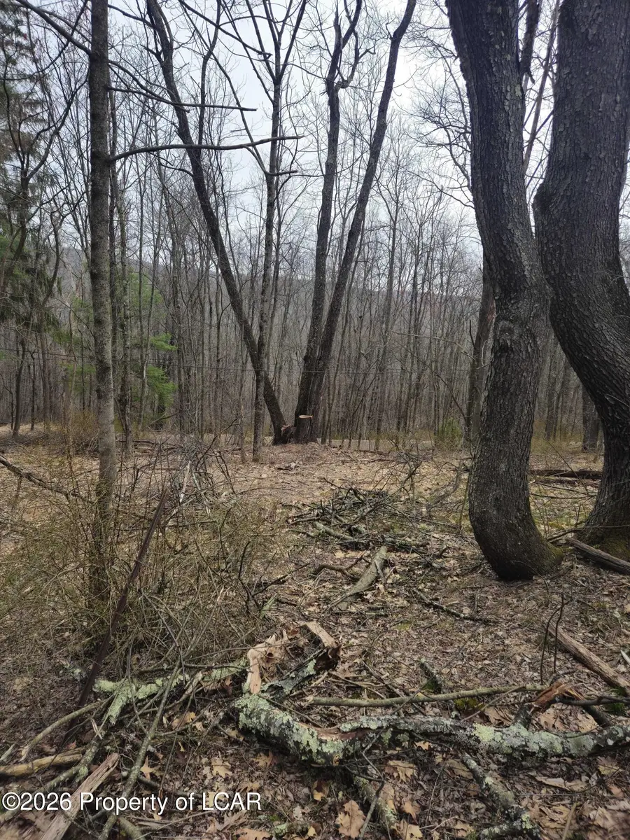 0 Kilmer Road, Spring Brook, PA 18444 - #2