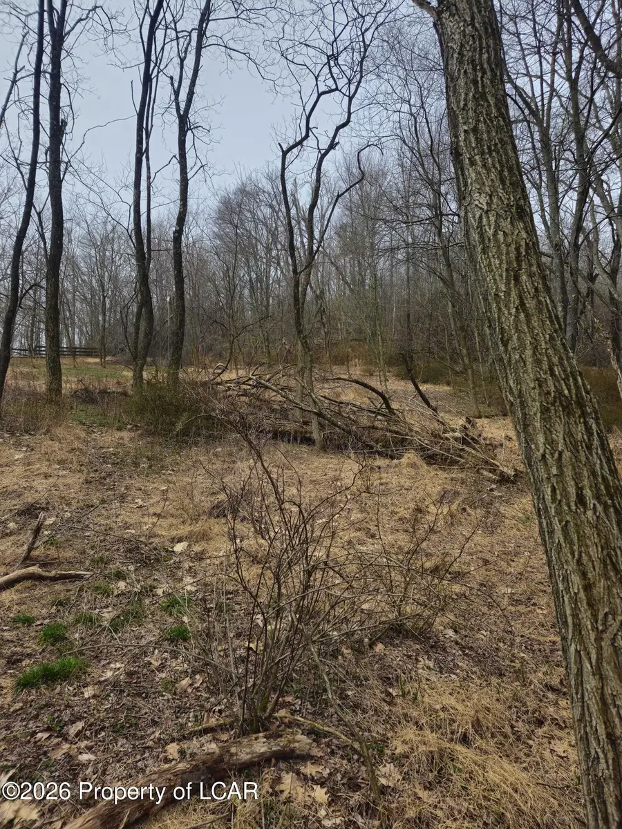 0 Kilmer Road, Spring Brook, PA 18444 - #3