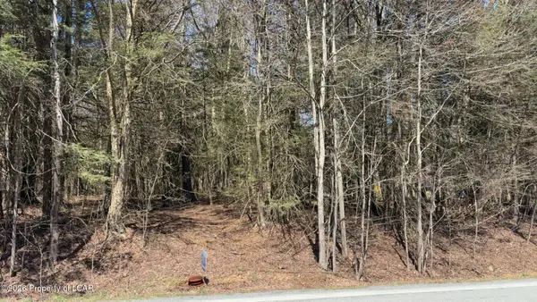 Millcreek Road, Newfoundland, PA 18445