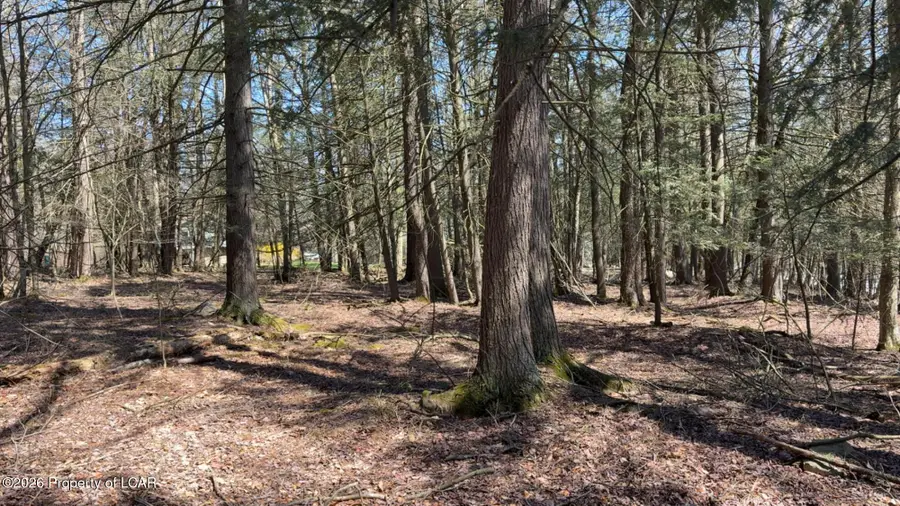 Millcreek Road, Newfoundland, PA 18445 - #2