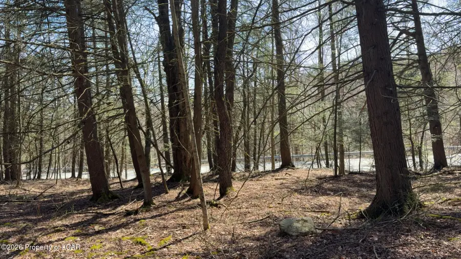 Millcreek Road, Newfoundland, PA 18445 - #3