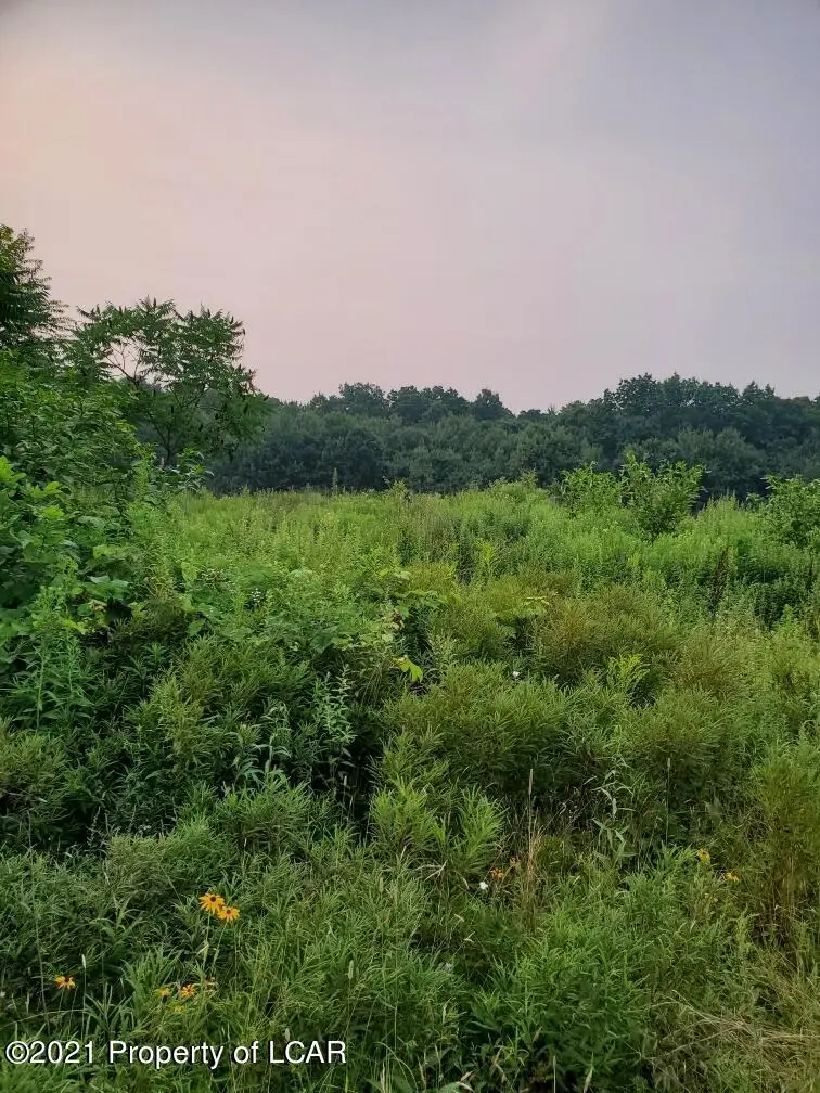 St Johns Road, Drums, PA 18222 - #2