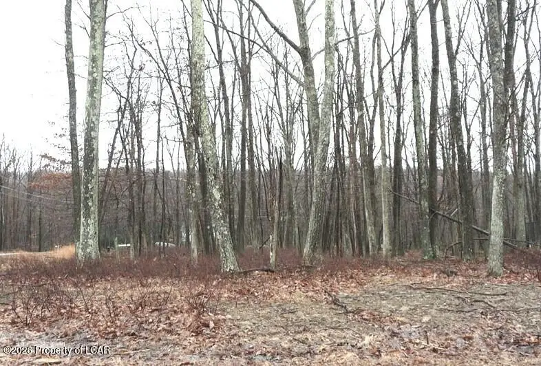 WS Lot 223 Adobe Way, Hazleton, PA 18202 - #1