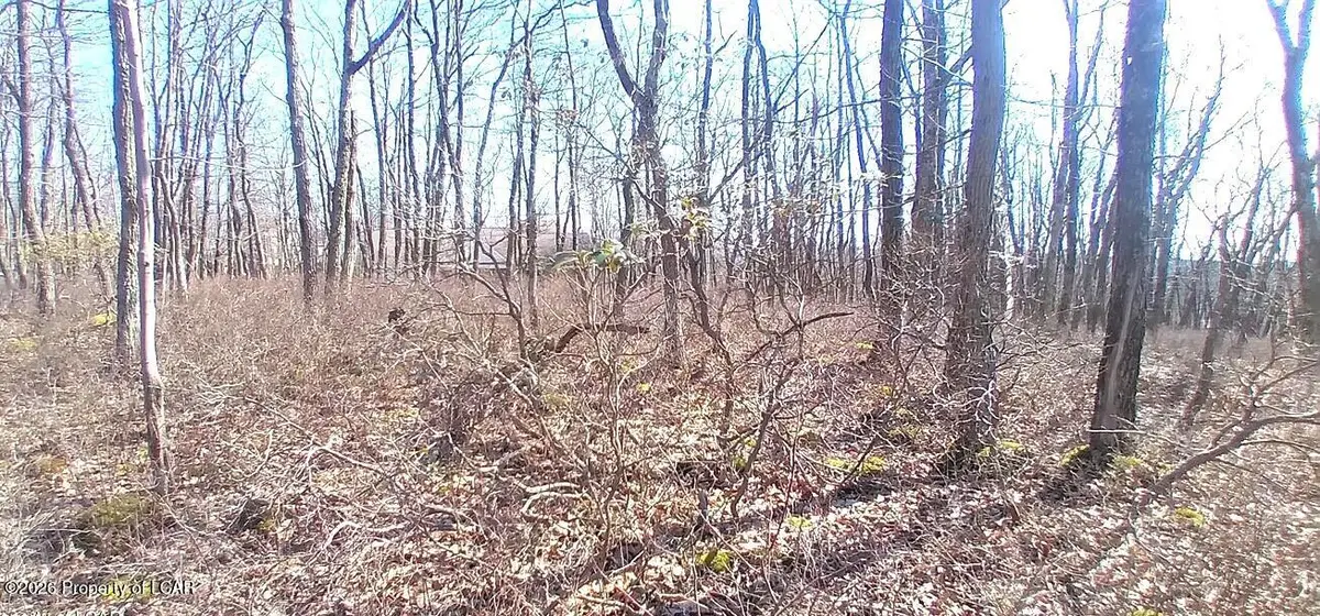 WS Lot 397 Horseshoe Drive, Hazleton, PA 18202 - #1