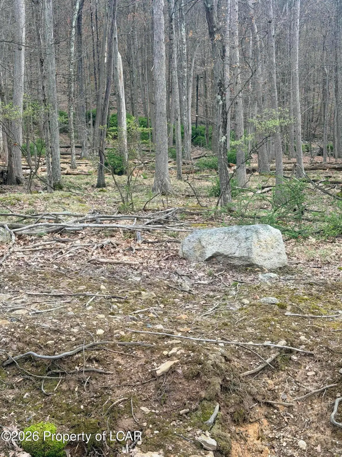 217 Muskegon Circle, Hazle, PA 18202 - #1