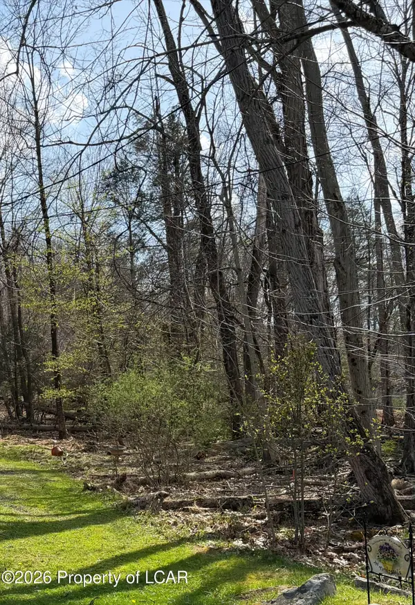 Rear Spring Street, Harveys Lake, PA 18618