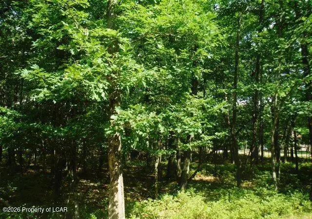 JAE Lot132 Kickapoo Drive, Hazle, PA 18202 - #1