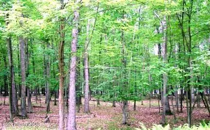 E Lot 099 Chestnut Drive, Hazleton, PA 18202 - #1