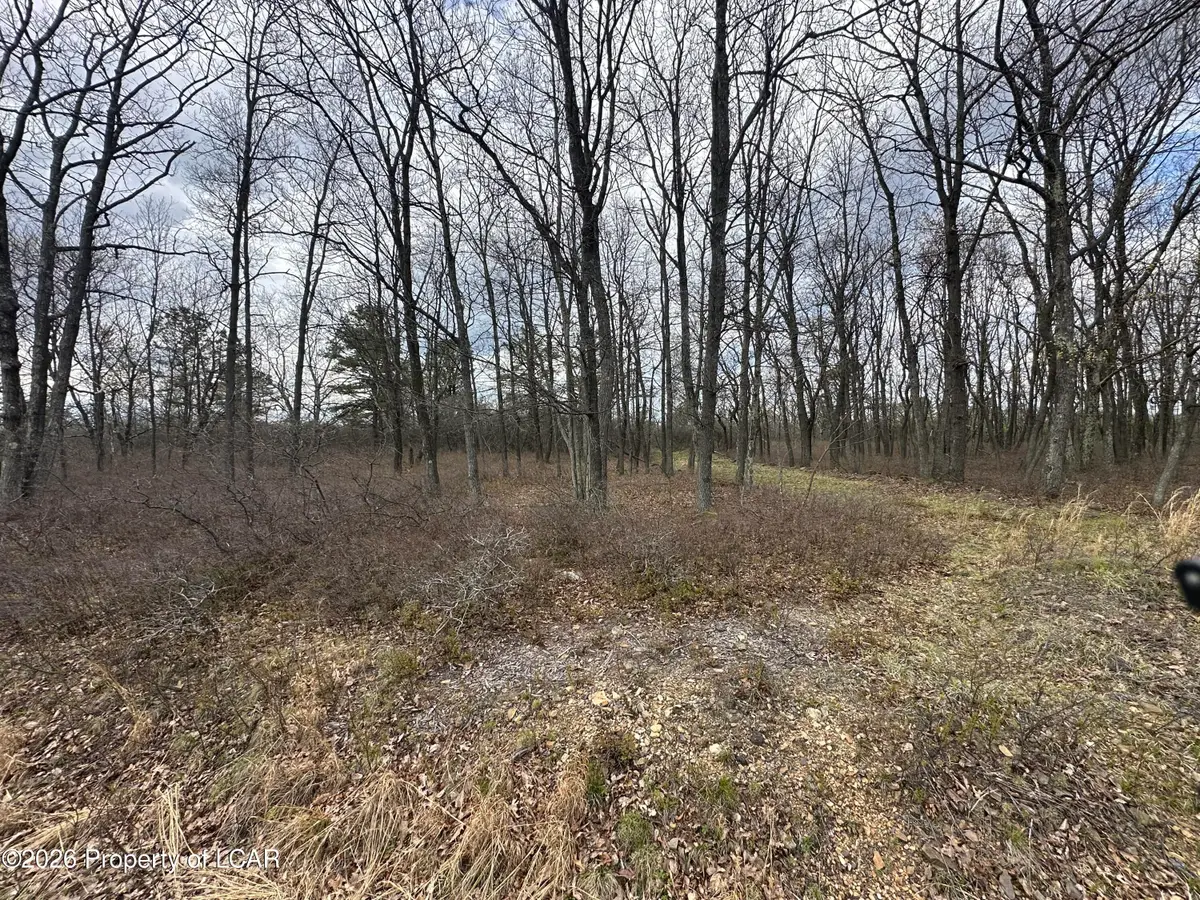 365 Honeysuckle Drive, Hazle, PA 18202 - #1