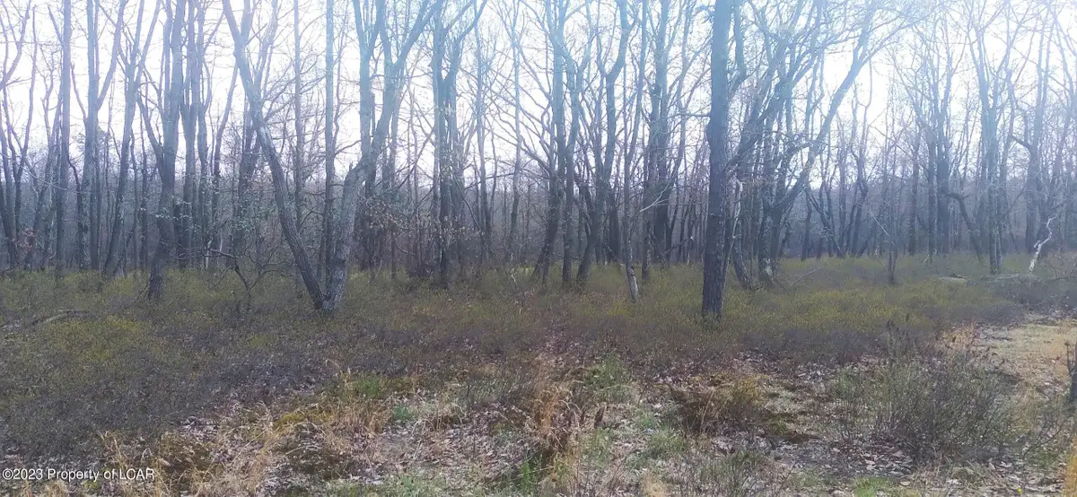 ERII 398 Crooked Stick Lane, Hazleton, PA 18202 - #1