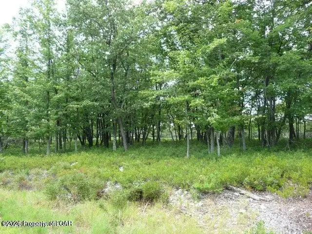 ERII 397-8 Crooked Stick Lane, Hazle, PA 18202 - #1