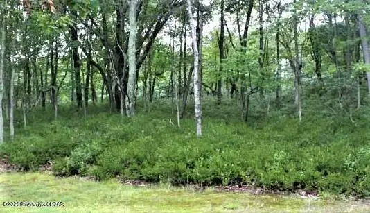 ERII 397-8 Crooked Stick Lane, Hazle, PA 18202 - #2