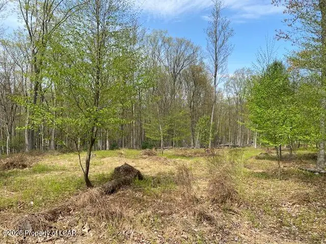 Edge Rock Drive, Butler, PA 18222 - #3
