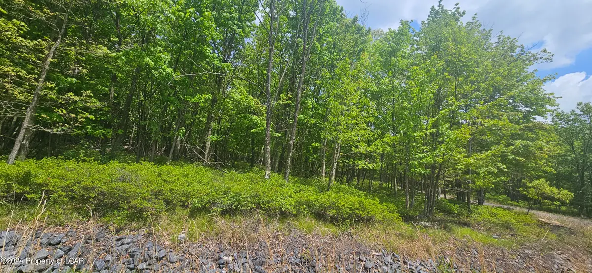 LV Lot 052 Crnr Mountain Laurel & Dogwood Drive, Hazle, PA 18202 - #1