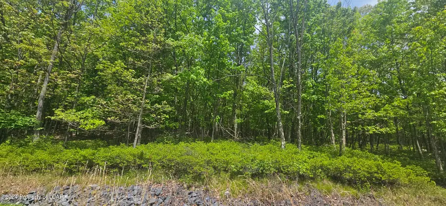 LV Lot 052 Crnr Mountain Laurel & Dogwood Drive, Hazle, PA 18202 - #2