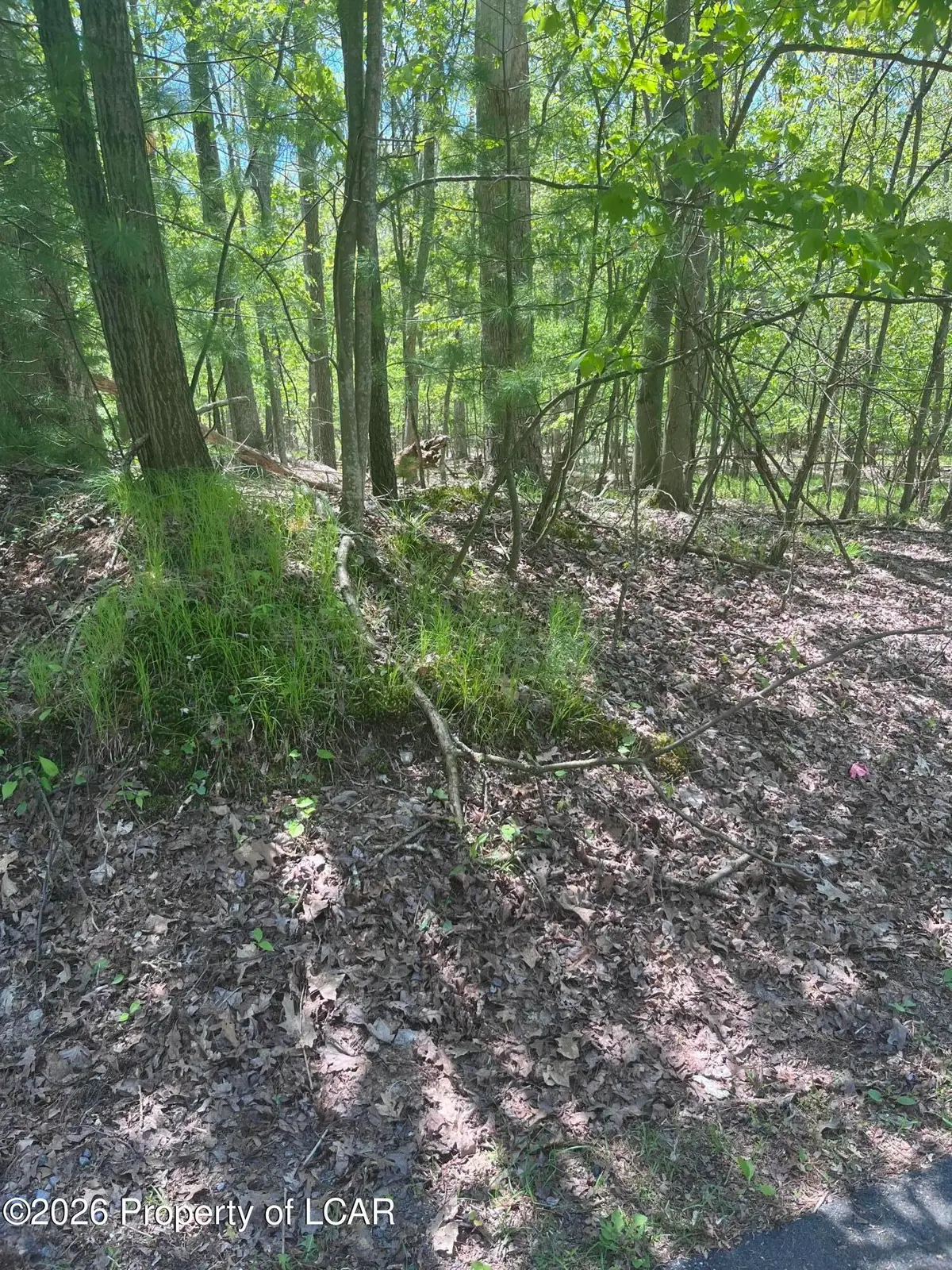 Henry Drive, Mountain Top, PA 18707 - #1
