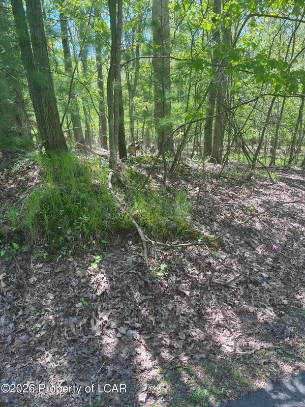 Henry Drive, Mountain Top, PA 18707