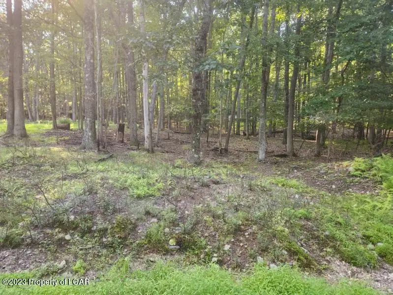 Lot 004 Vacation Drive, White Haven, PA 18661 - #2