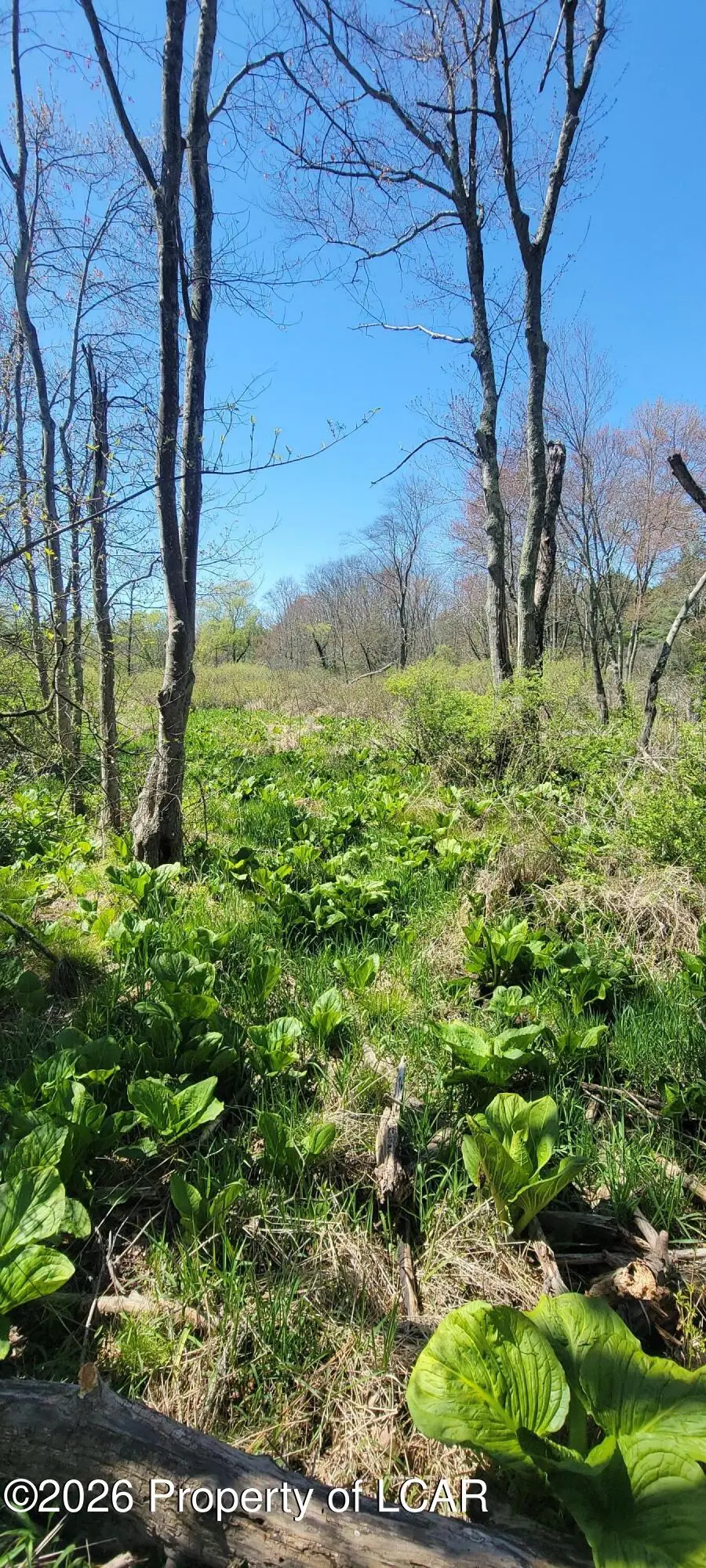 Lower Demunds Road, Dallas, PA 18612 - #2