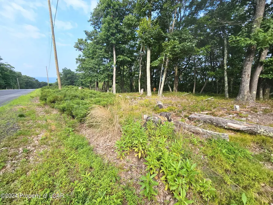 NR Lot 207 Little Bear Lane, Hazle, PA 18202 - #2