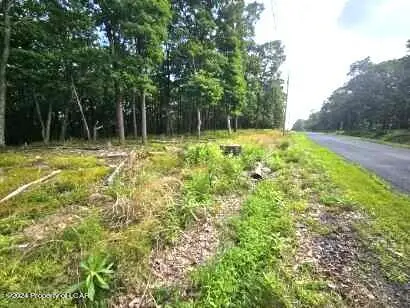 NR Lot 207 Little Bear Lane, Hazle, PA 18202 - #3