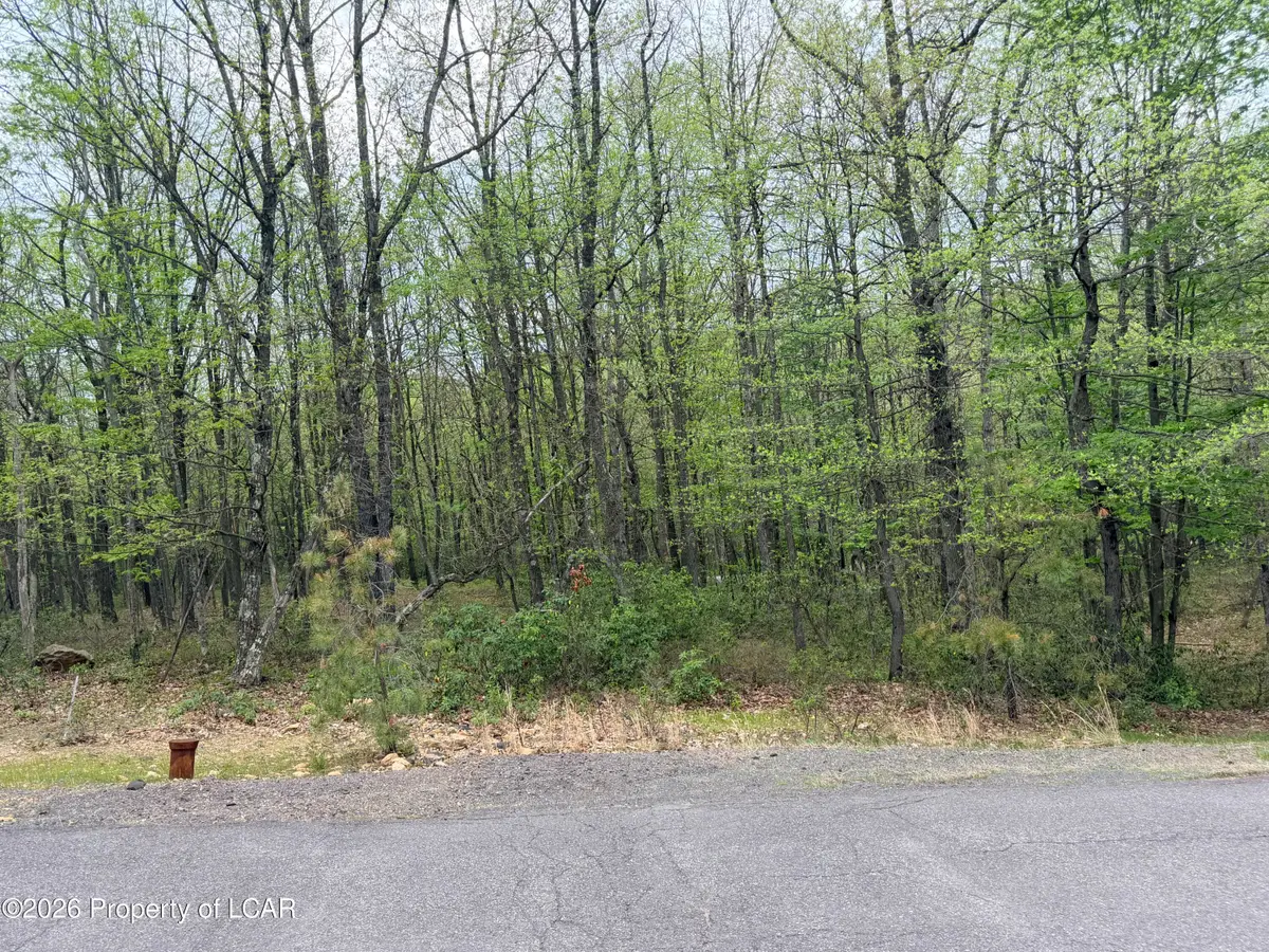 159 Chippewa Drive, Hazleton, PA 18202 - #1