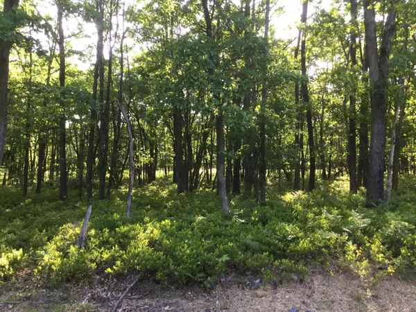 TW Lot 107 Sweet Birch Drive, Hazle Twp, PA 18202