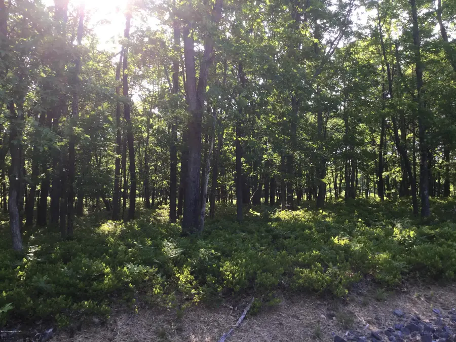 TW Lot 107 Sweet Birch Drive, Hazle, PA 18202 - #2