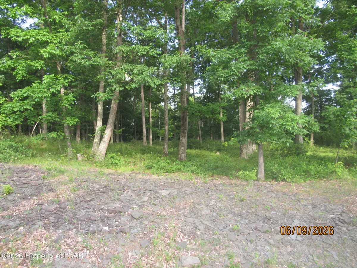 80 Scenicview Drive, Dallas, PA 18612 - #1