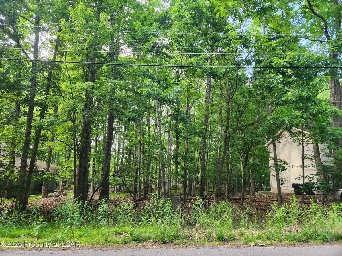 34 Shingle Mill Drive, Drums, PA 18222 - #1