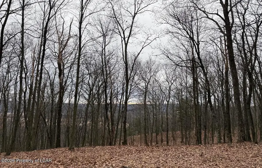 599 Skyline Lane, Rock Glen, PA 18246 - Image #2