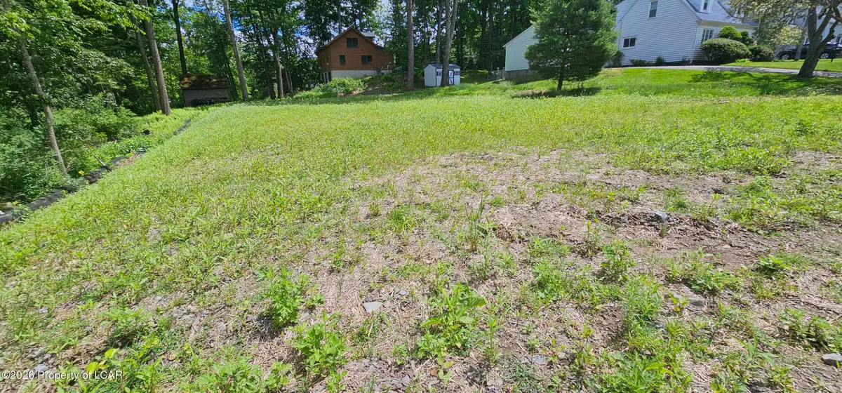 Birch, Dallas, PA 18612 - #1