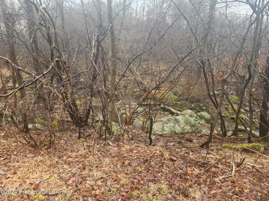 43 Thunder Drive, White Haven, PA 18661 - #2