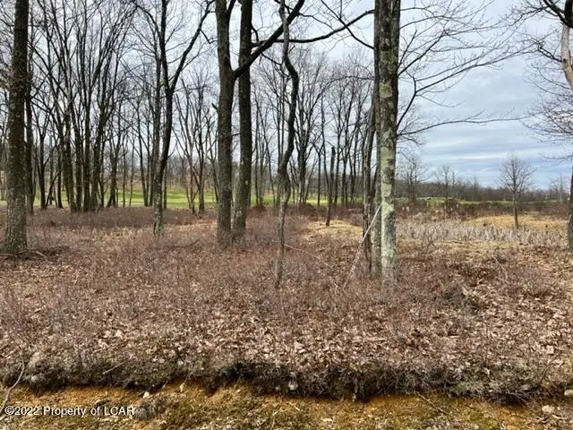 431 Honeysuckle Drive, Hazle Township, PA 18202 - #1