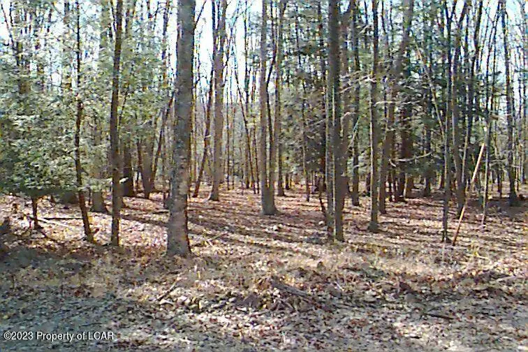 AW Lot 114 Arapahoe Lane, Hazleton, PA 18202 - #1