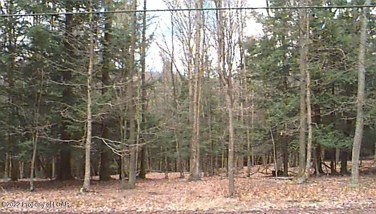 AW Lot 18 Arapahoe Lane, Hazleton, PA 18202 - #1