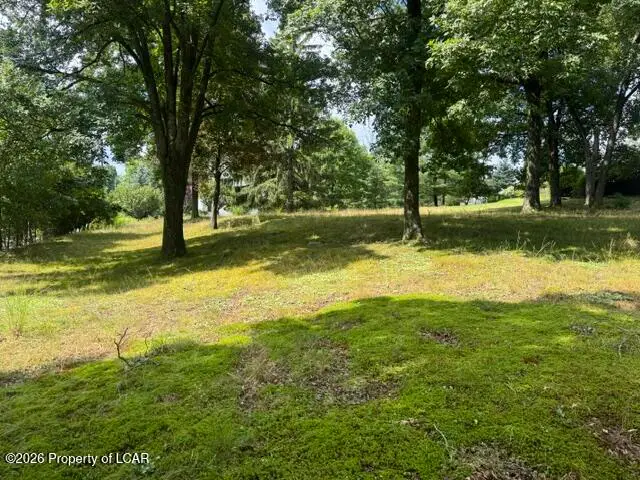 Vacant lot Center Hill Road, Dallas, PA 18612 - #3
