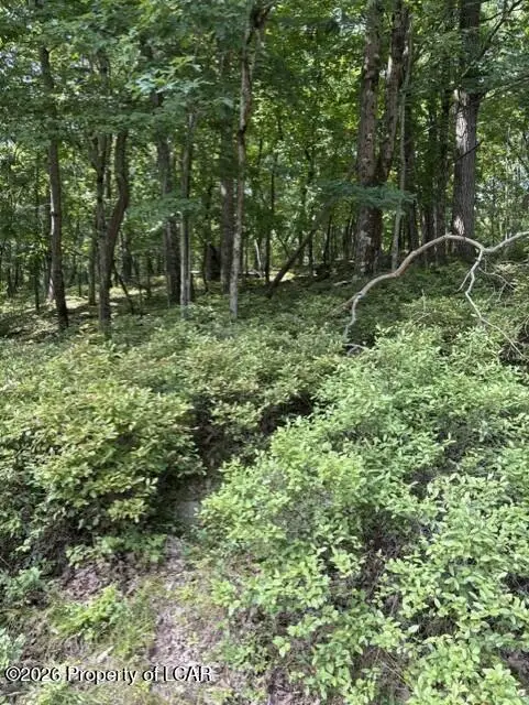 54 Aleeda Boulevard, Bear Creek, PA 18702 - #2