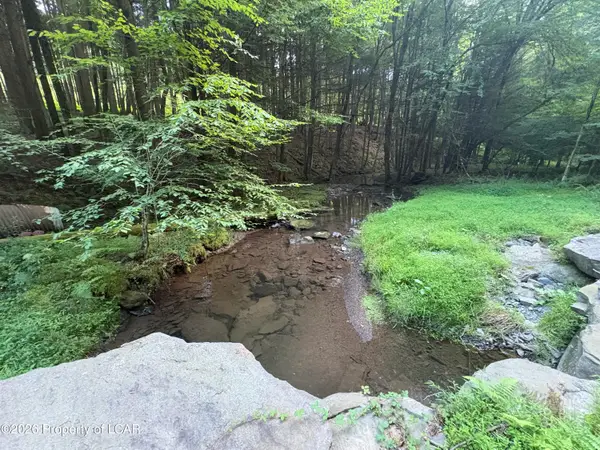 39 and 40 Moon Lake Forest Road, Hunlock Creek, PA 18621
