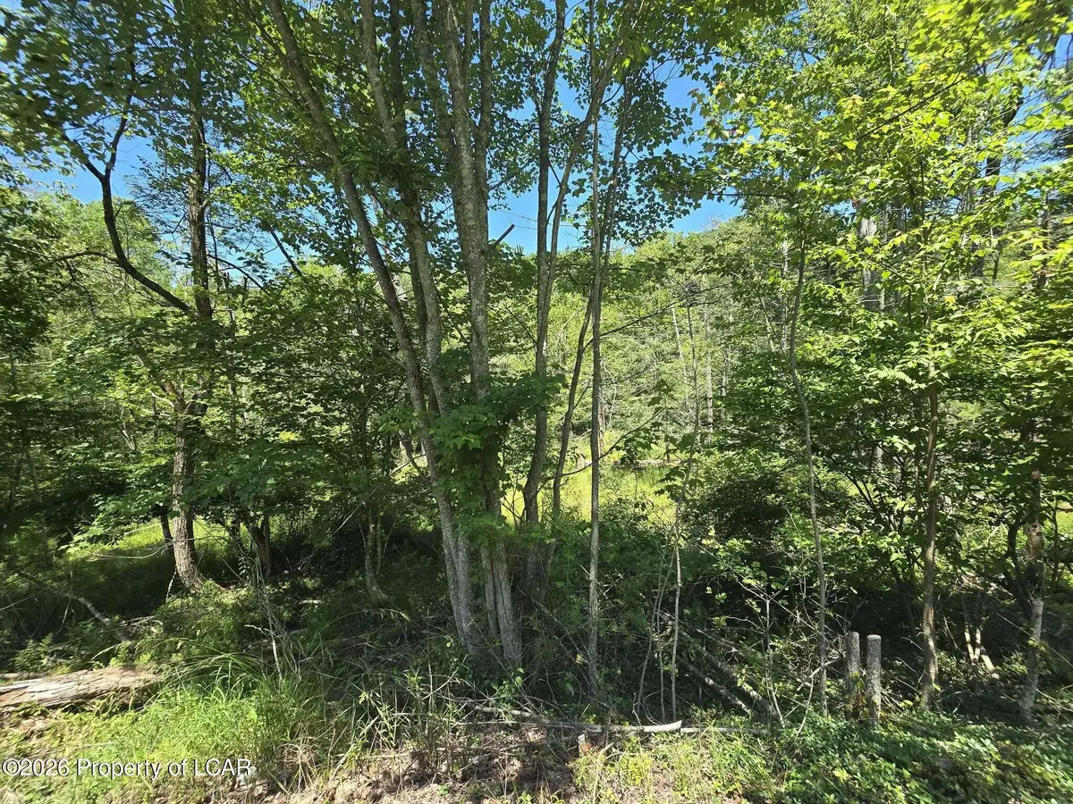 2nd Street, Harveys Lake, PA 18618 - #1