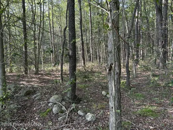 Bellasylva Road, Forkston, PA 18614