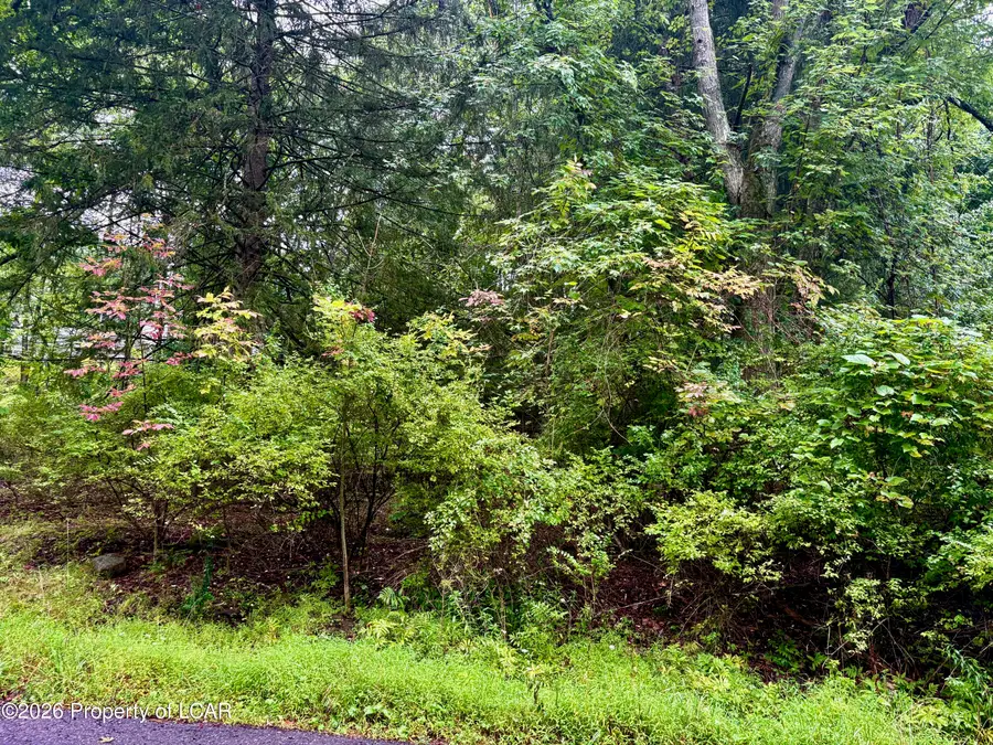 Lot 13 Woodlawn Avenue, Harveys Lake, PA 18618 - #2
