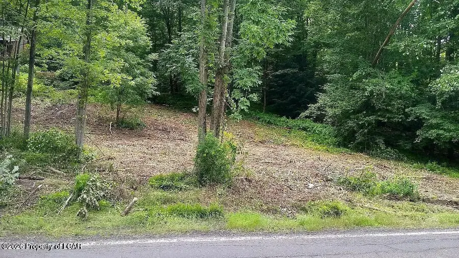 Taylor Lane, Harveys Lake, PA 18618 - #2