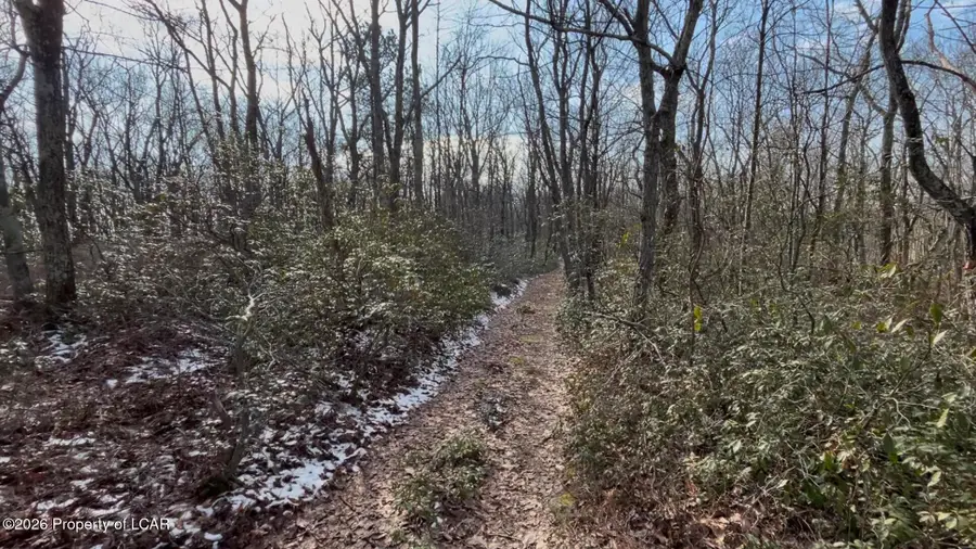 9A Butler Drive, Drums, PA 18222 - #3
