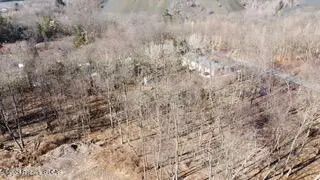 Wood Way, Jenkins, PA 18640 - #1