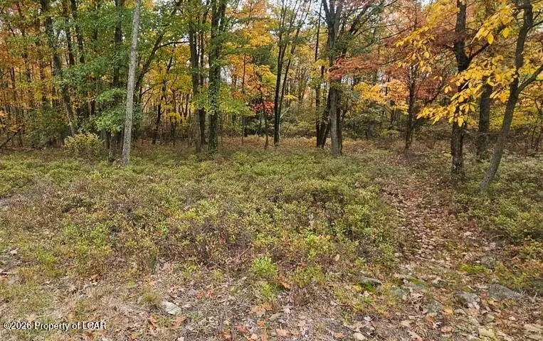 151 Mahanoy Mountain Road, Hazle, PA 18202 - #1