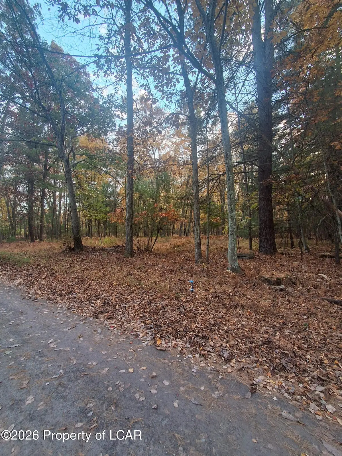 Sutton Drive, Hunlock Creek, PA 18621 - #1