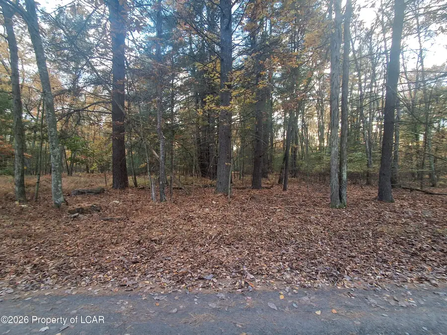 Sutton Drive, Hunlock Creek, PA 18621 - #3