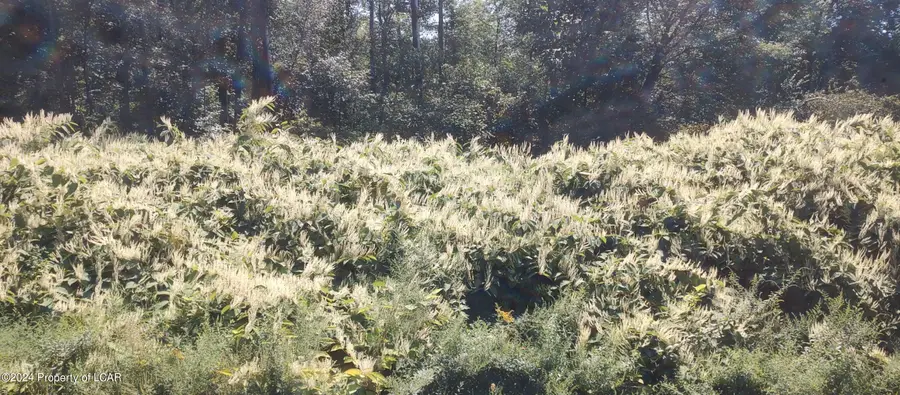 Enterprise Street, Nanticoke, PA 18634 - #3