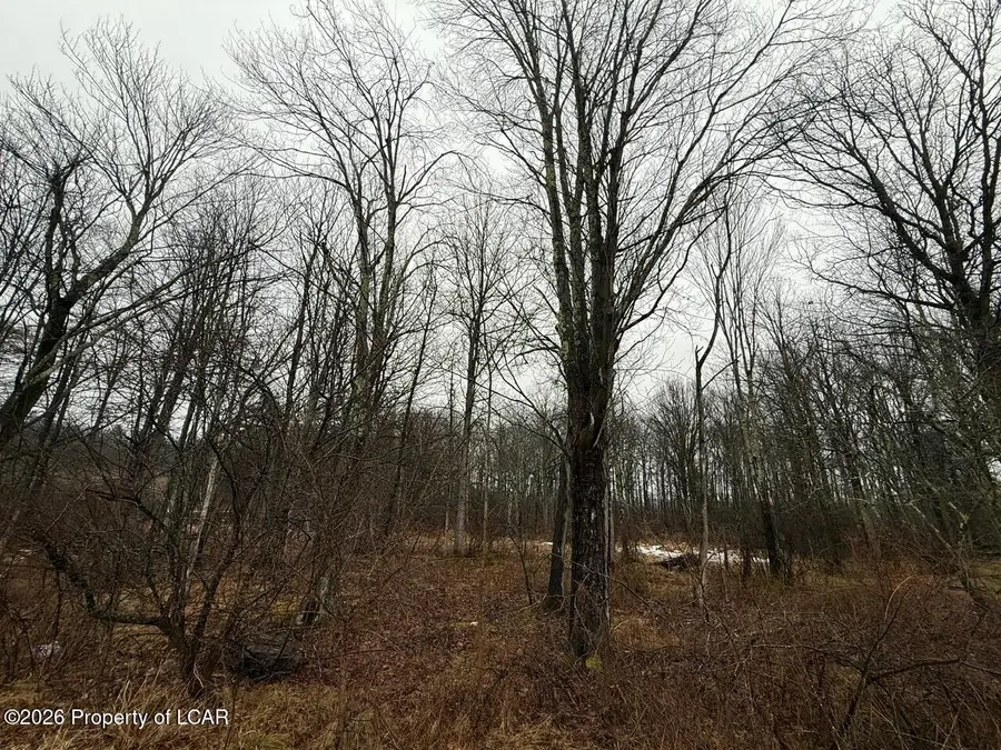 E Center Street, Shavertown, PA 18708 - #3